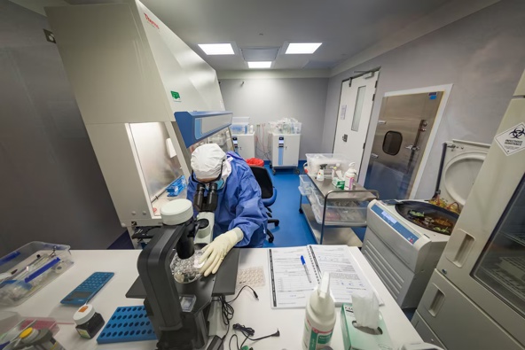 Malaghan Institute researchers are trying to find a CAR T-cell therapy more effective than current ones – but also safer and affordable – that can be introduced to our healthcare system. Photo / Supplied