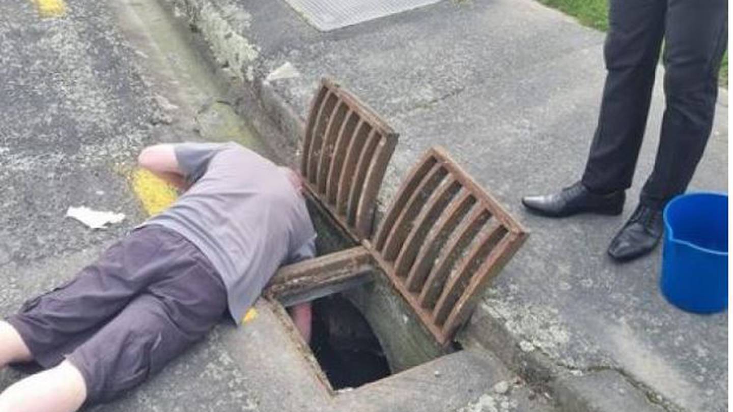 A group of strangers came together to help get the trapped ducklings out of the drain. Photo / Supplied