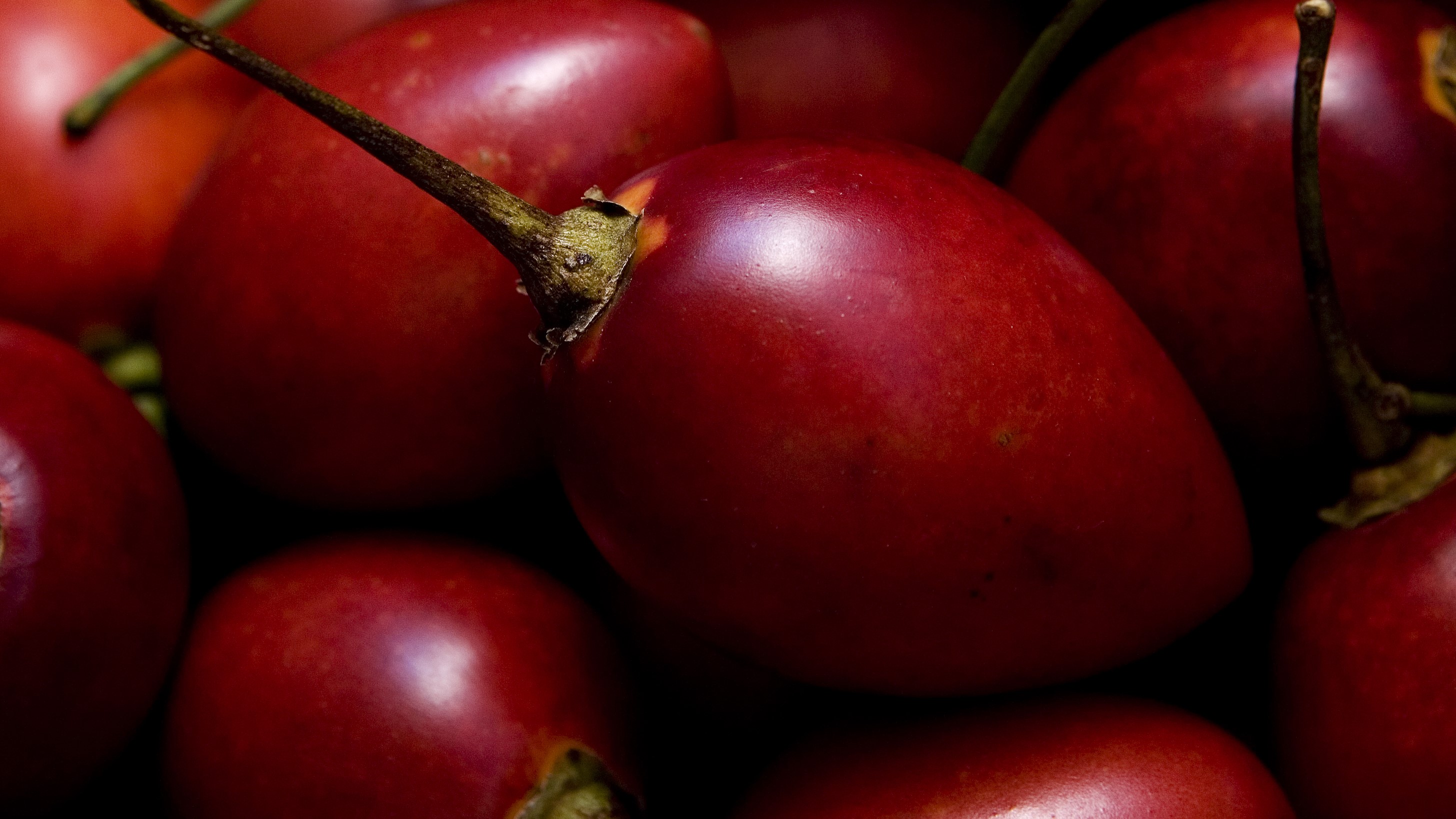 Photo / Babiche Martens | File