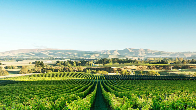 (Photo / Tourism NZ)