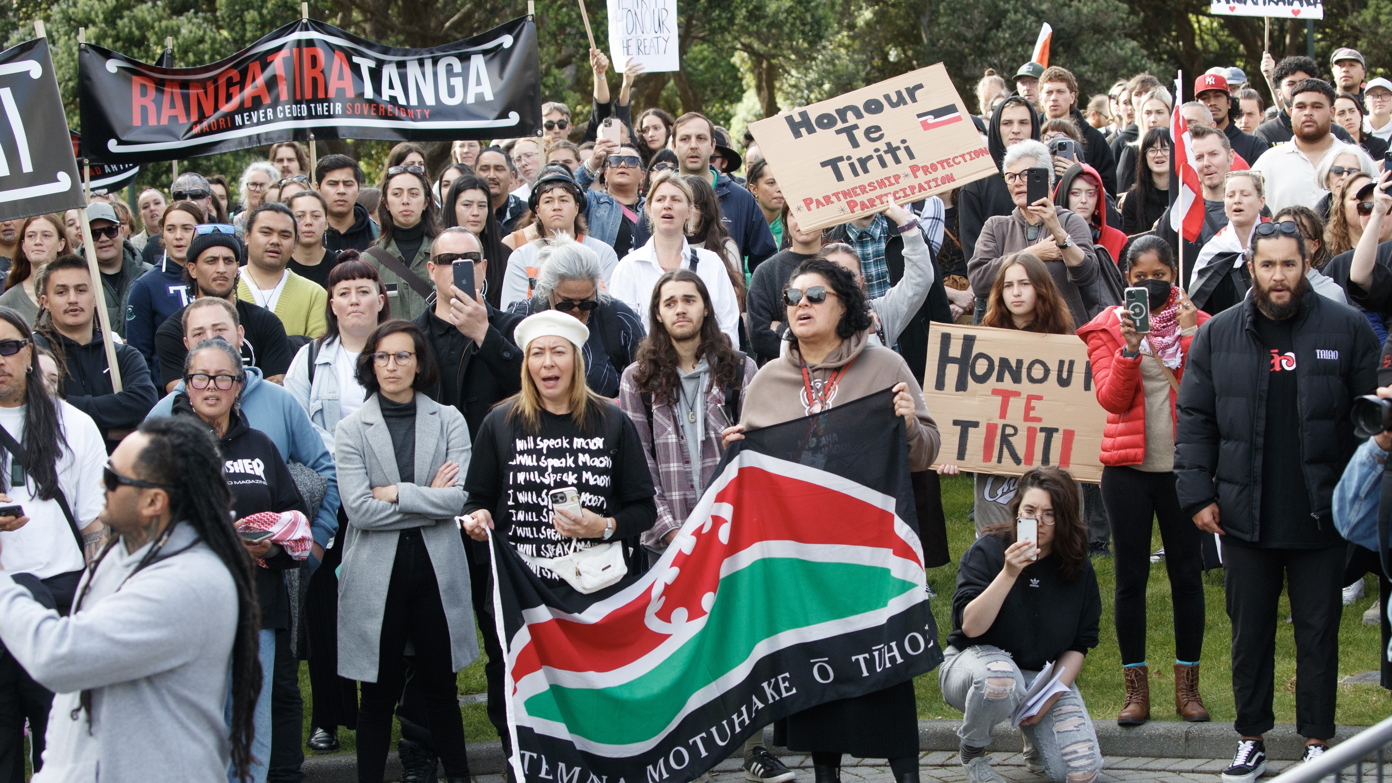 Protestors at Parliament. Photo / Mark Mitchell
