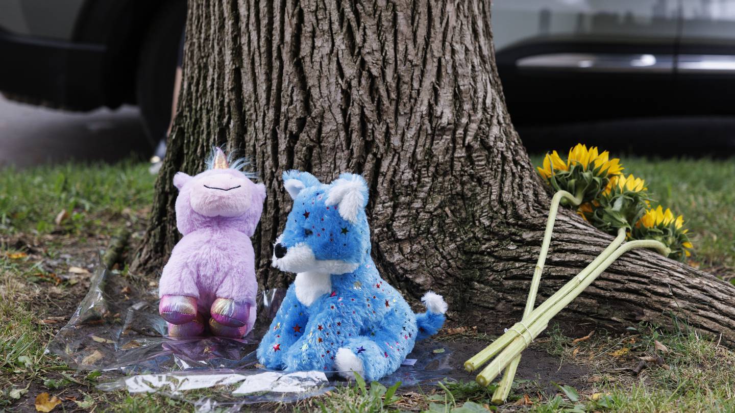 Two stuffed toys and sunflowers are laid at the scene in Portage Park where a 9-year-old Chicago girl was killed. Photo / AP
