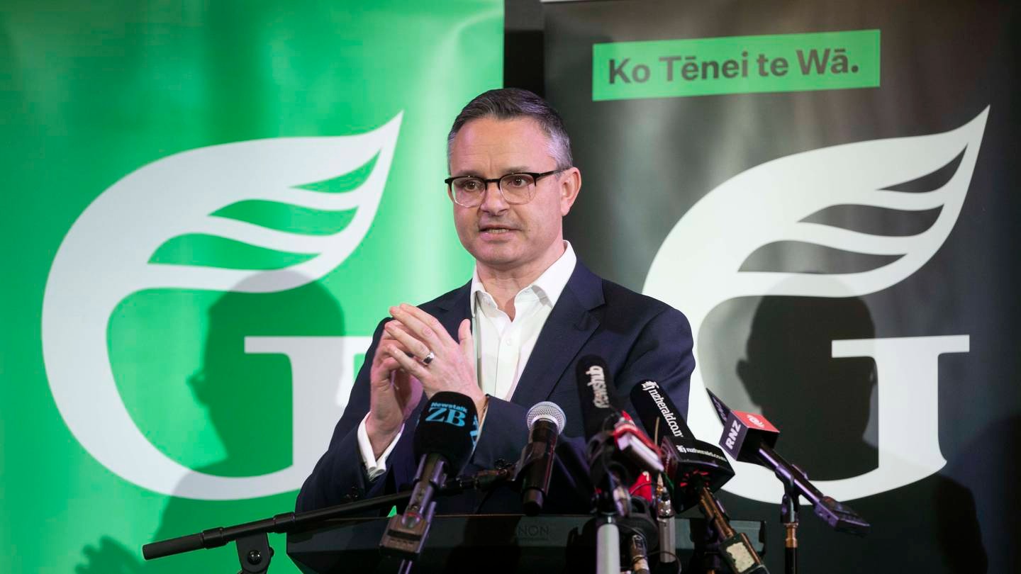 Greens co-leader James Shaw. Photo / Mark Mitchell