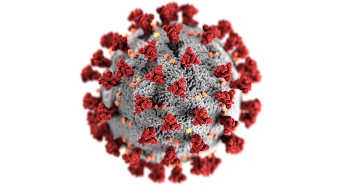 The Delta variant of the Sars-CoV-2 coronavirus - scientific name B.1.617.2 - has spread to more than 70 countries since first being detected late last year. (Image / CDC)