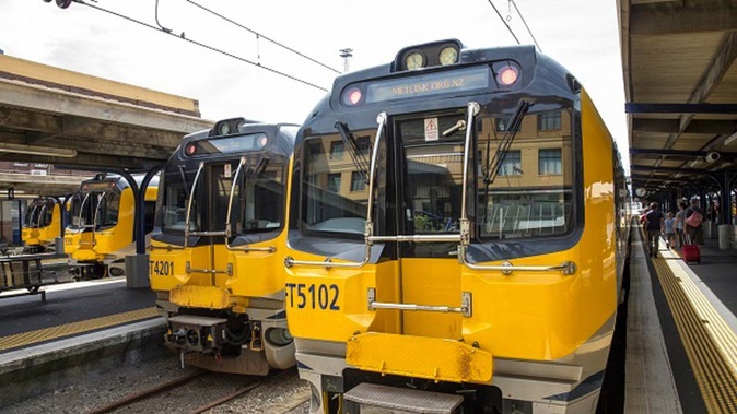 Two youths have been arrested over assaults at Wellington train stations. Photo / File
