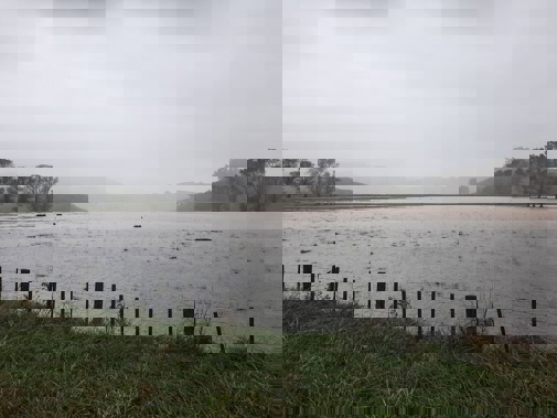 Last month's floods turned some farm paddocks on the East Coast into virtual lakes. Photo / Neil Reid