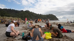 More than 500 volunteers helped at the beach clean at Waihī Beach yesterday. Photo / Stuart Attwood