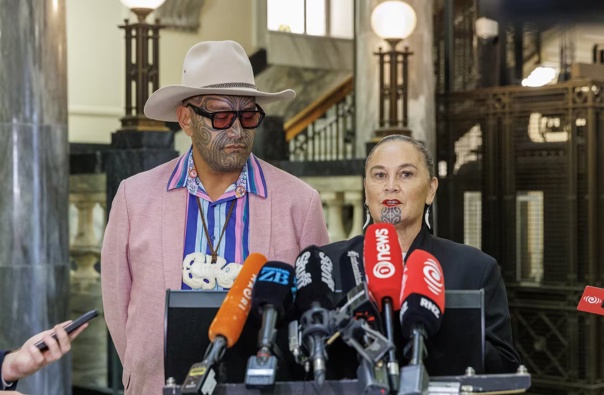 Te Pāti Māori co-leaders Rawiri Waititi and Debbie Ngarewa-Packer face a heavy censure.