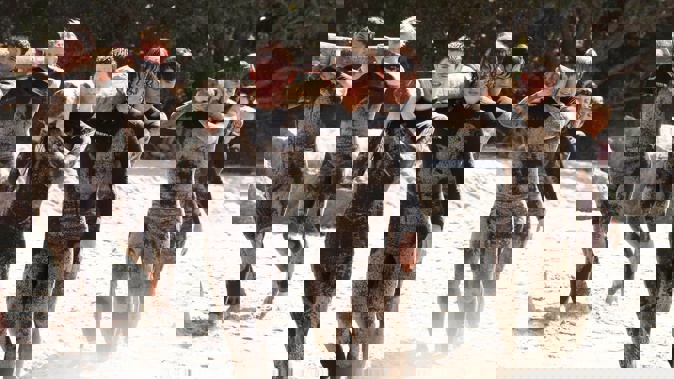 Tauranga Boys' College students take part in a 40-hour physical activity challenge to raise awareness for mental health. New research highlights that mental health remains the biggest issue of concern for young New Zealanders. Photo / Benji_Photoss