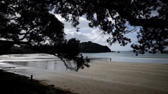 A body has been found at Waiheke Island's Oneroa Beach. Photo / Dean Purcell