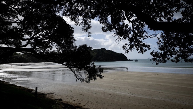 A body has been found at Waiheke Island's Oneroa Beach. Photo / Dean Purcell