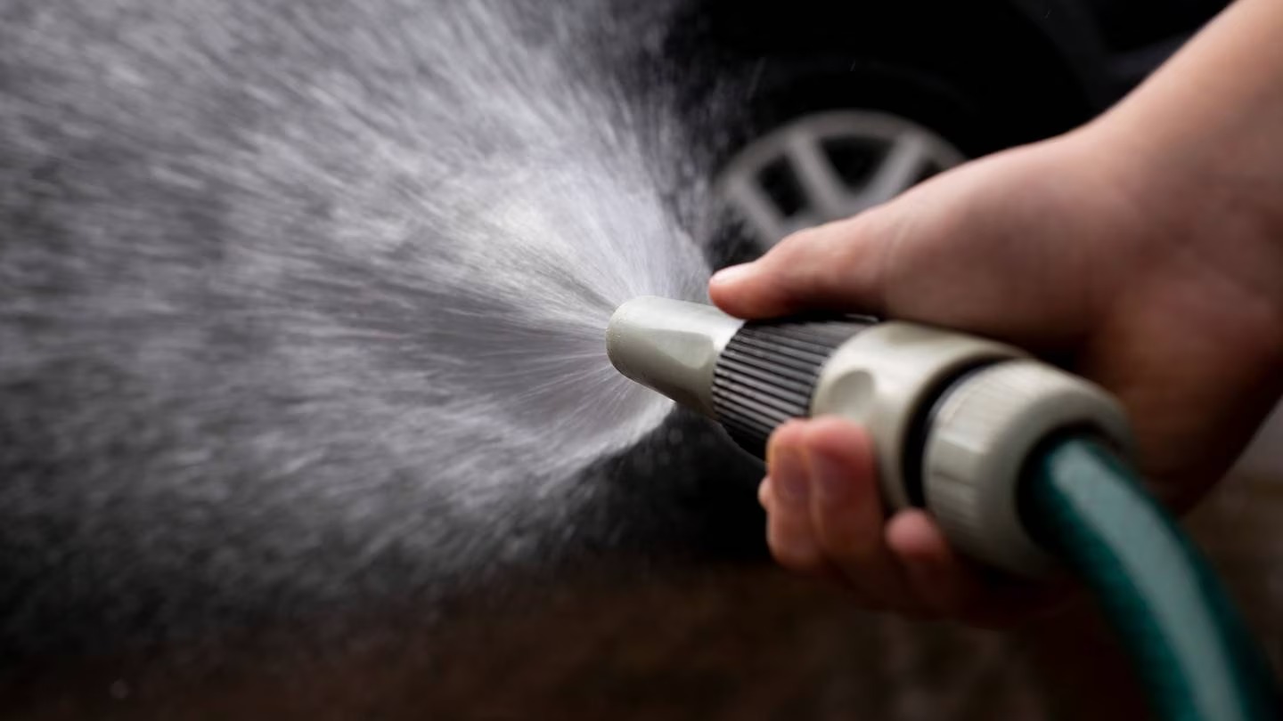 Photo / Dean Purcell