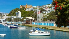 Oriental Bay Boat Sheds. Photo / WellingtonNZ
