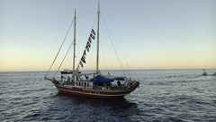 Reports suggest the flotilla headed to Gaza has been intercepted by Israel. Photo / Getty Images