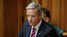 Andrew Bayly: National MP reveals why he's looking to clear his name following events that led to his resignation