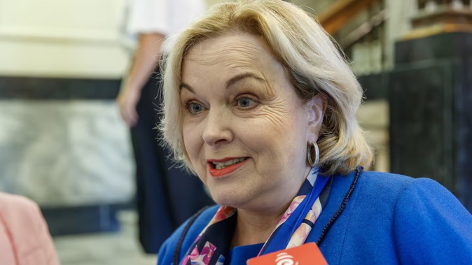 Science and Technology Minister Judith Collins' announcement comes after a review following the severe weather events of last year. Photo / Mark Mitchell