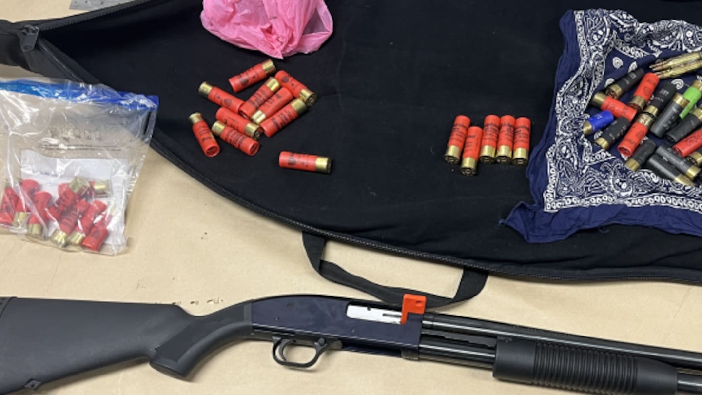 'No tolerance for violence': Police seize shotgun after Onehunga shooting