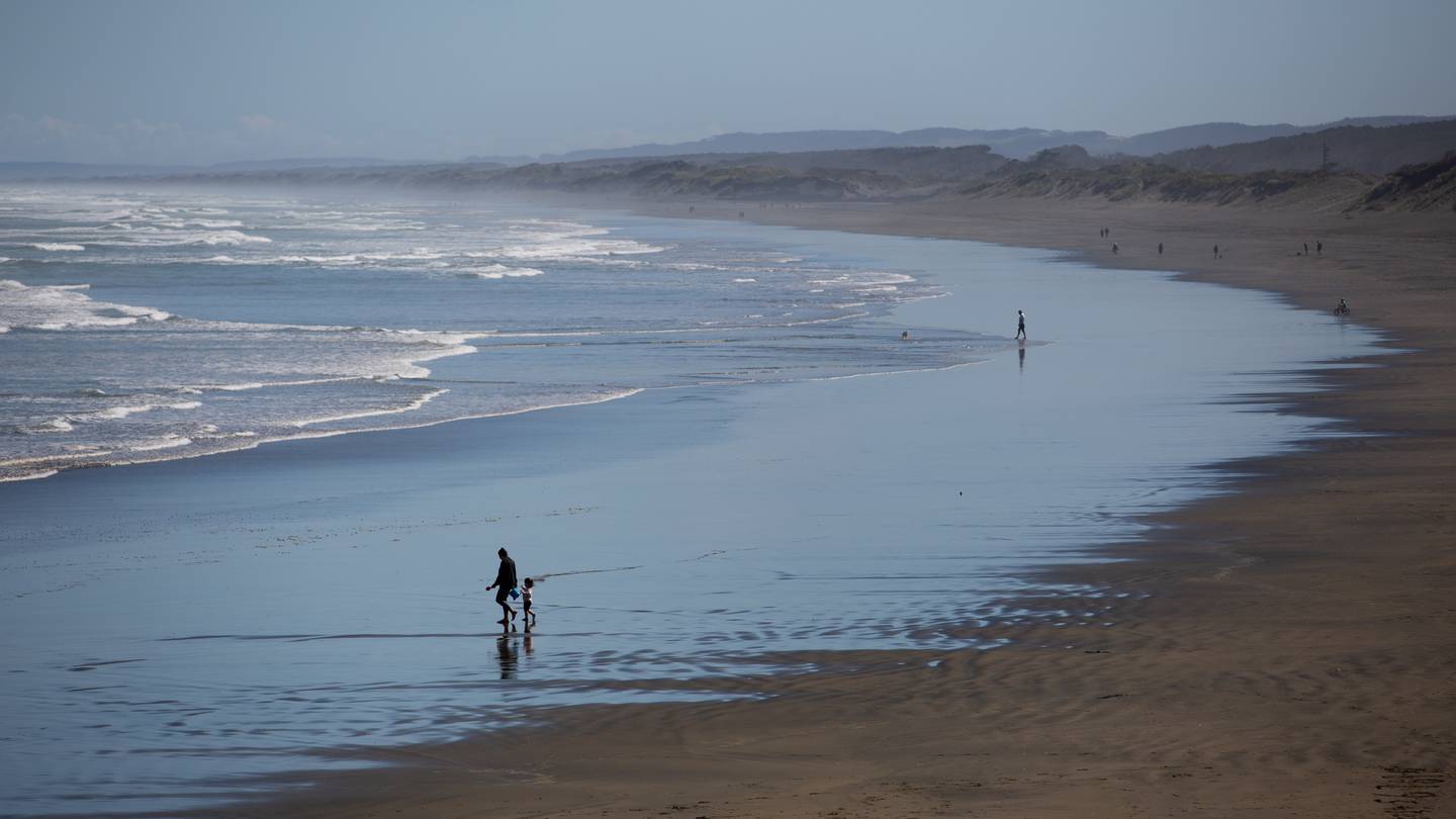 A woman has died after two skydivers collided in the air at Auckland's Muriwai Beach last night. (Photo / Sylvie Whinray)