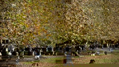 Fine weather is forecast for the coming week in Auckland. Photo / Dean Purcell