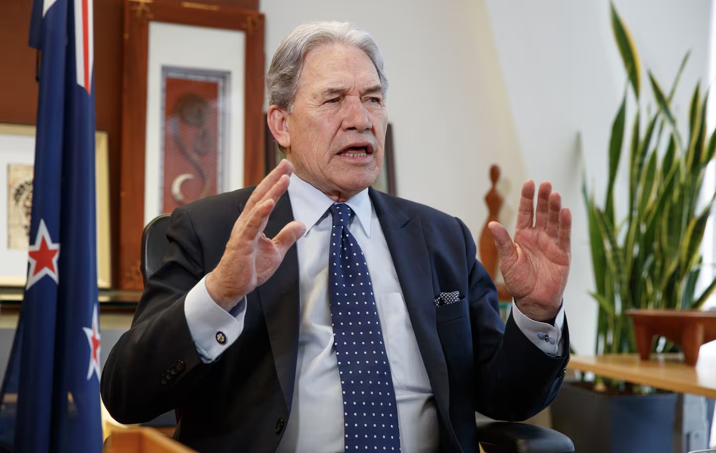 Winston Peters. Photo / Mark Mitchell