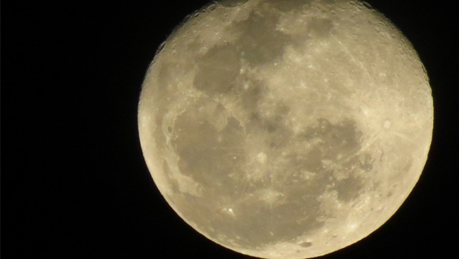 The RSPCA in Britain thinks it's found a link between the full moon, and a rise in animal abuse (stock.xchng)