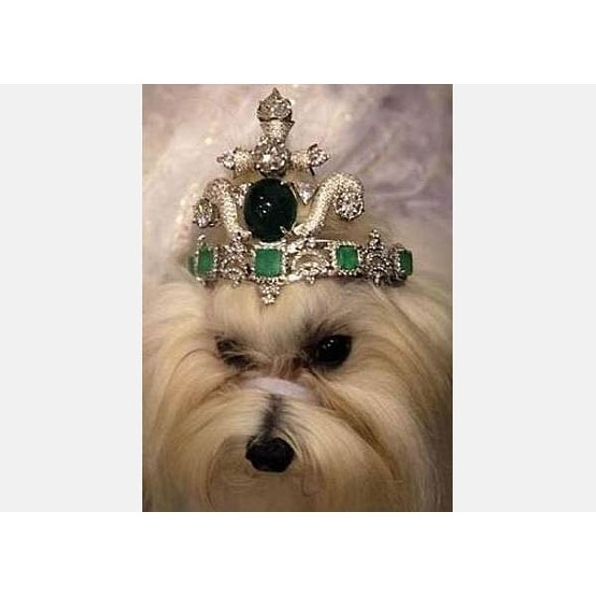 For just $31,660 your pet can lounge around inside this Hello Kitty daybed surrounded by 7,600 crystal beads - because that isn't a recipe for disaster!