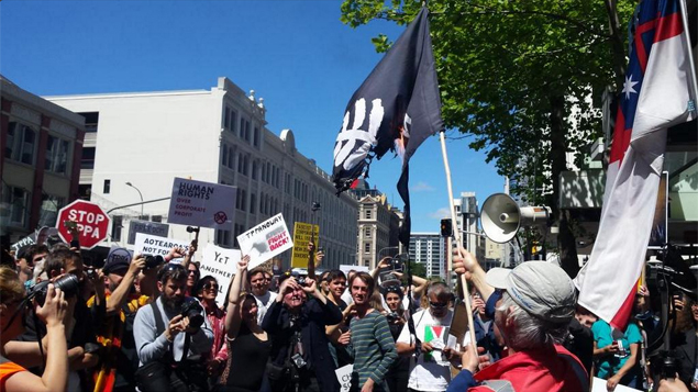 A woman burns a flag with a silvern fern in protest of the TPPA (James Robins)