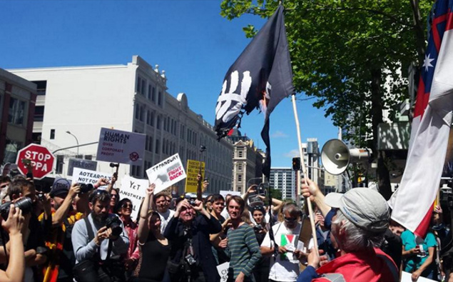 Rachael Le Mesurier: TPPA Protests