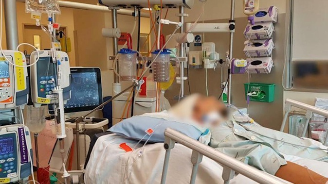 The 28-year-old victim was hospitalised in critical condition following the attack. (Photo / Supplied)