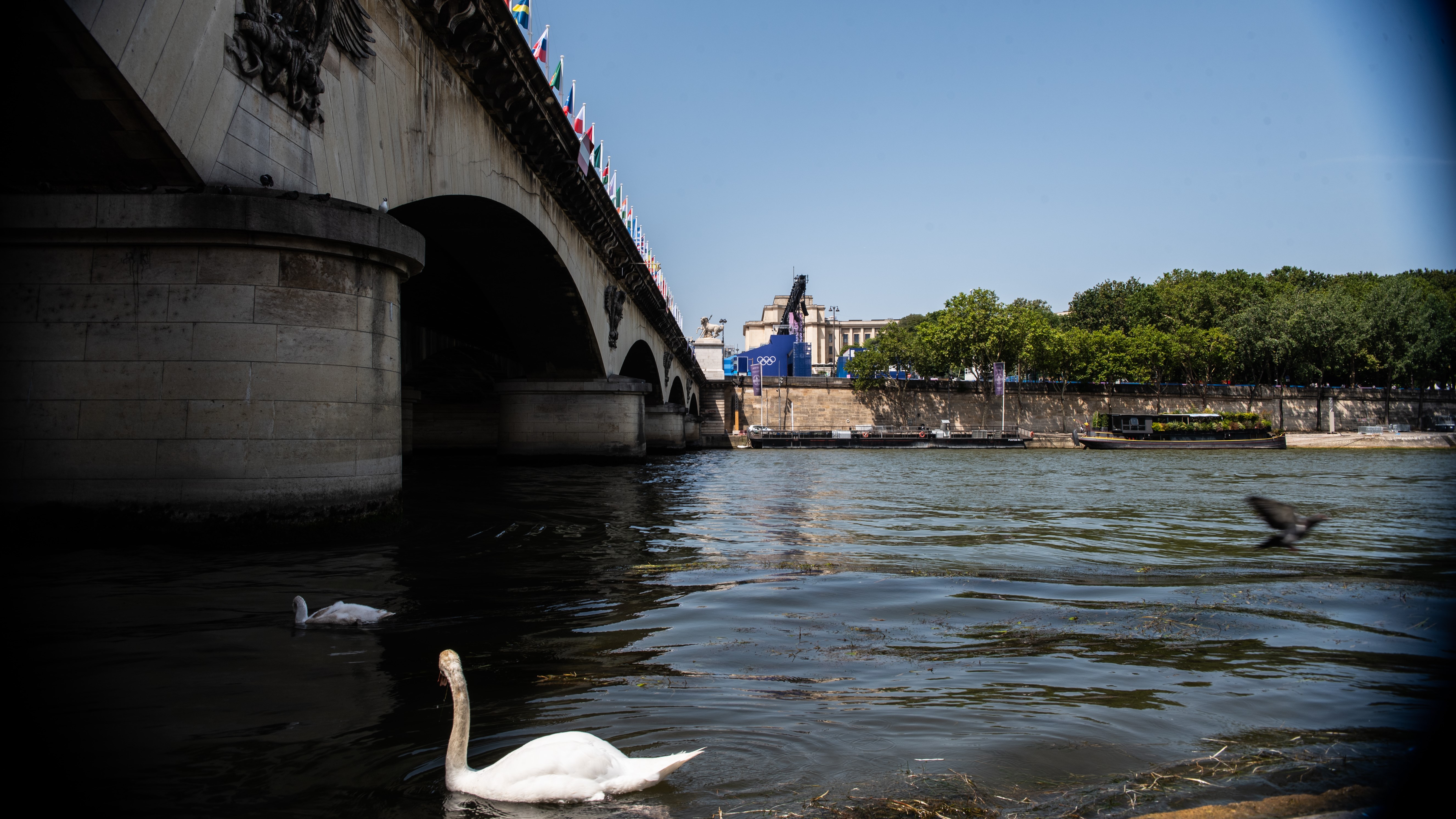 (Photo by Andrea Savorani Neri/NurPhoto via Getty Images