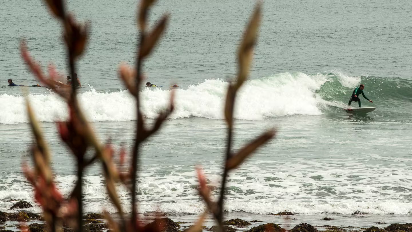 World Surf League NZ Pro Competition set to begin in Raglan 