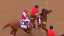 Horse punched in face after historic race win