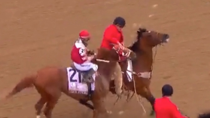 Rich Strike appears to be struck on the muzzle after winning the race. Photo / via Twitter