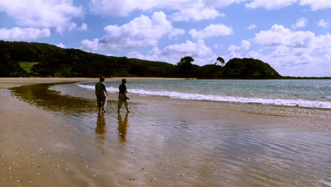 Set-nets will be banned in Army Bay and Te Haruhi Bay this summer (NewsPixNZ/NZ Herald)
