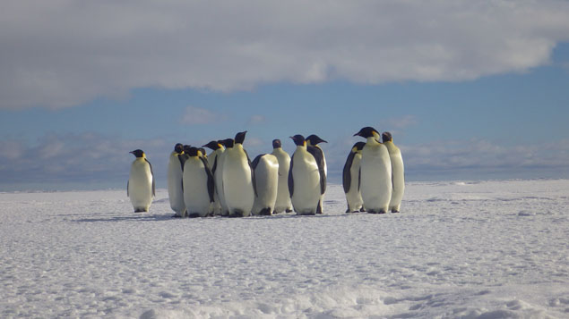 (Photo credit: Gilly Lindsay, Antarctica New Zealand)