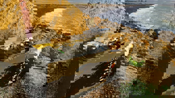 The missing ATM was found at Richmond Reserve, East Clive, three weeks ago. (Photo / Paul Taylor)