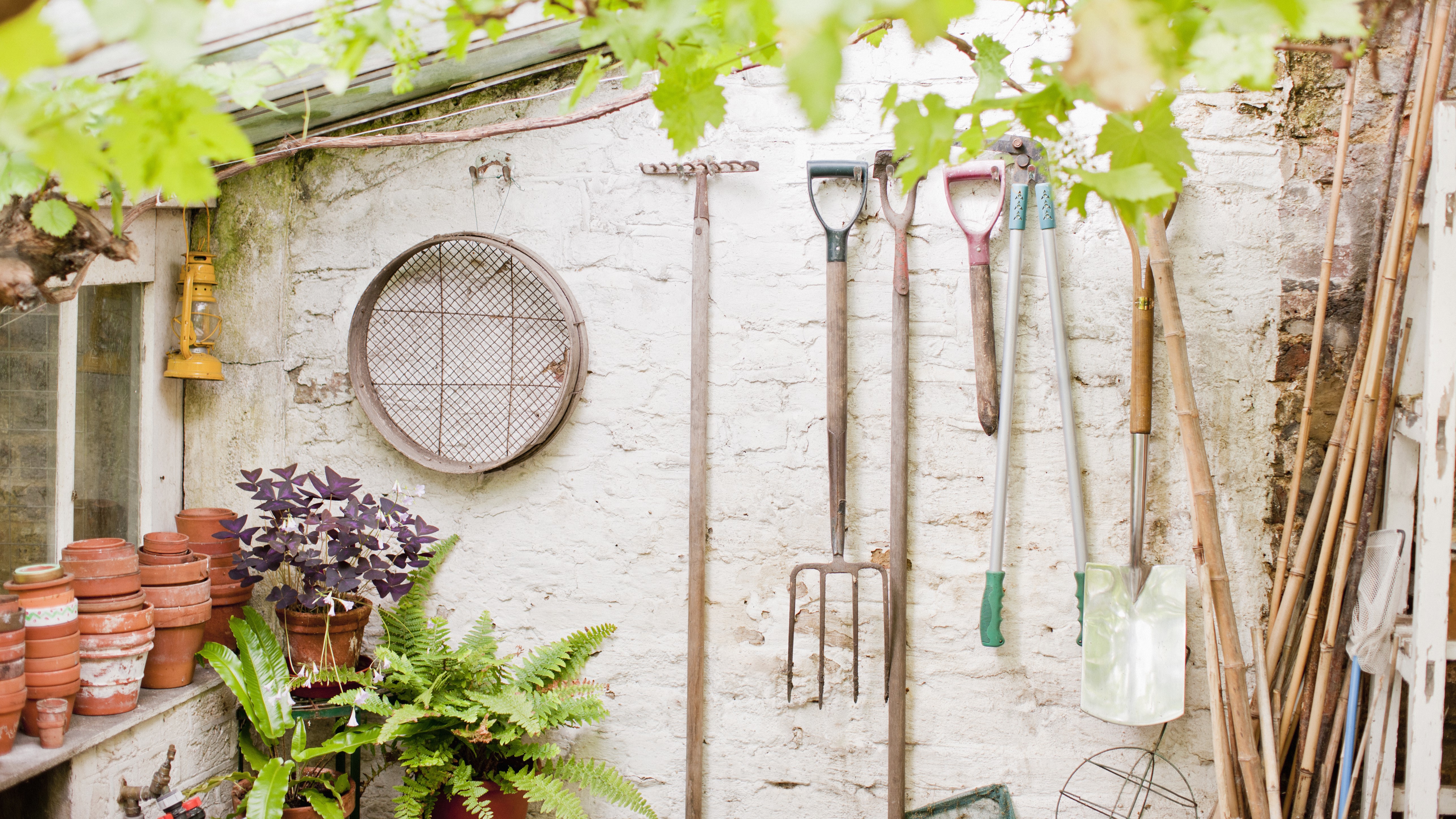 Ruud Kleinpaste: Now is the time to get on with the gardening