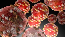 Measles outbreak: 10 cases confirmed after two more found in Wellington, hundreds of close contacts at school