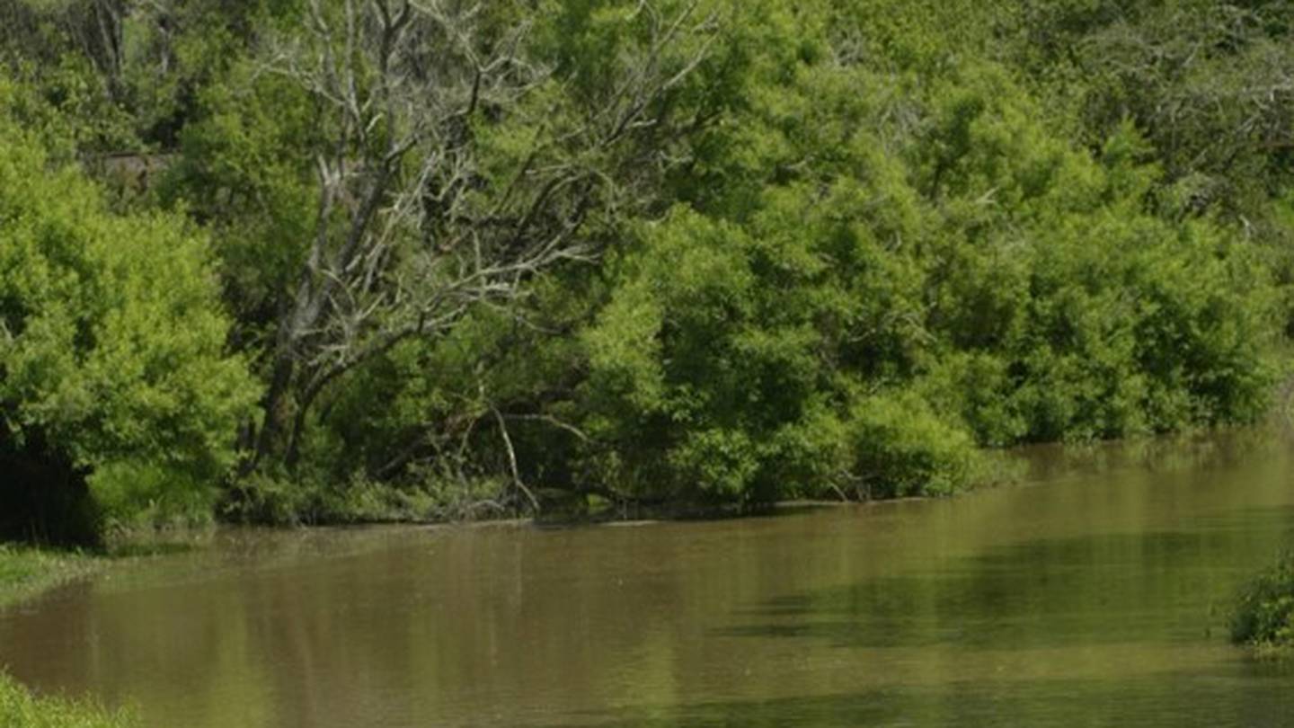 Whangamarino River, where Abdul Kareem's body was found by a member of the public. (Photo / File)
