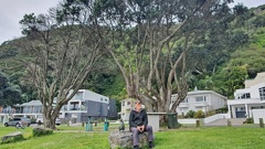 Whakatāne resident and plant pathologist Duncan Smith sits in front of two trees, one dead and the other dying, at Wairaka Centennial Park. Photo / Diane McCarthy