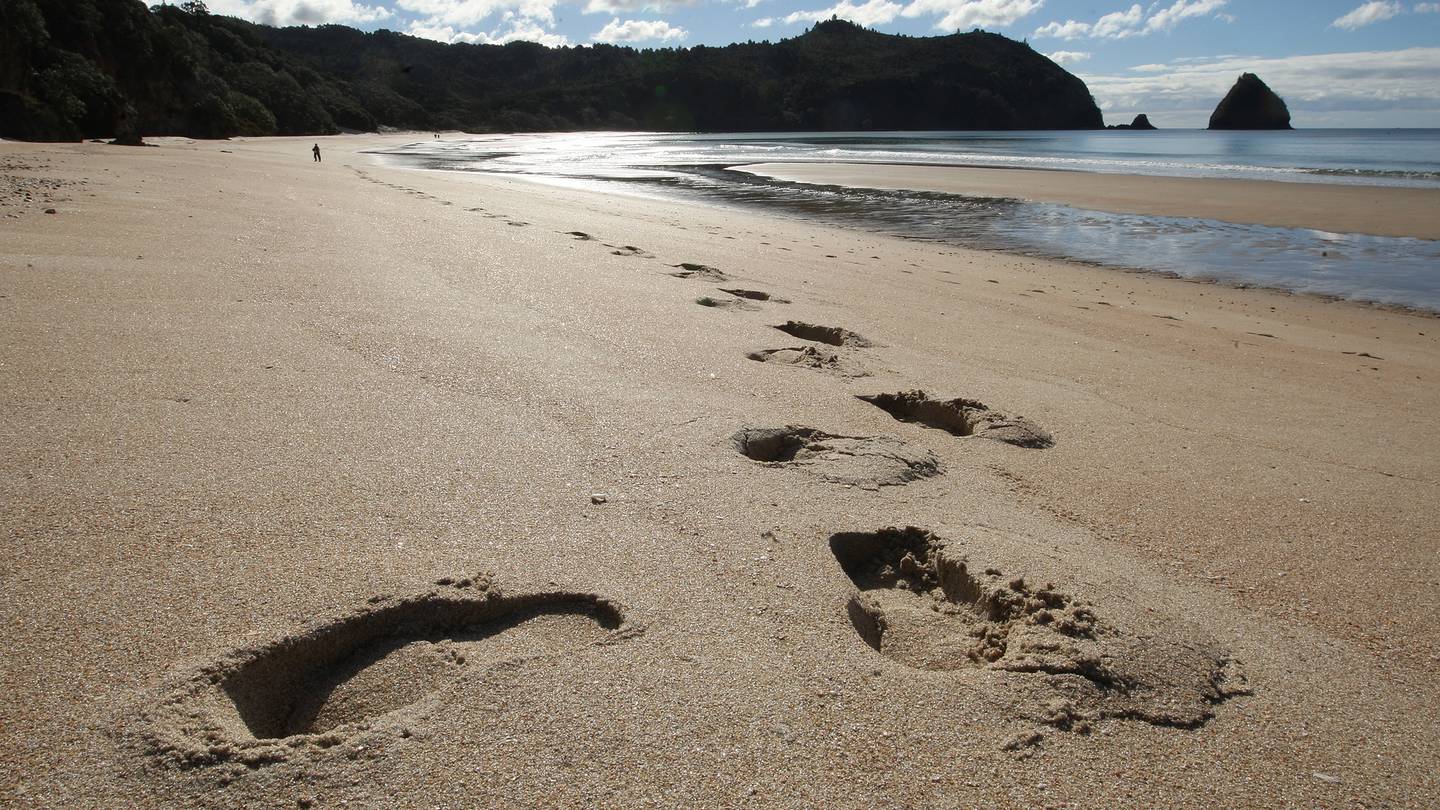 Family of drowning victim at Christchurch beach said he 'gave his life to save another'