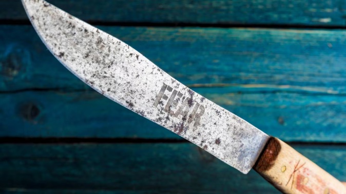 Hamilton man Jaden Minhinnick attacked the victim twice with a machete, cutting his ear and breaking the man's arm, in the incident on their shared driveway. Image / 123rf
