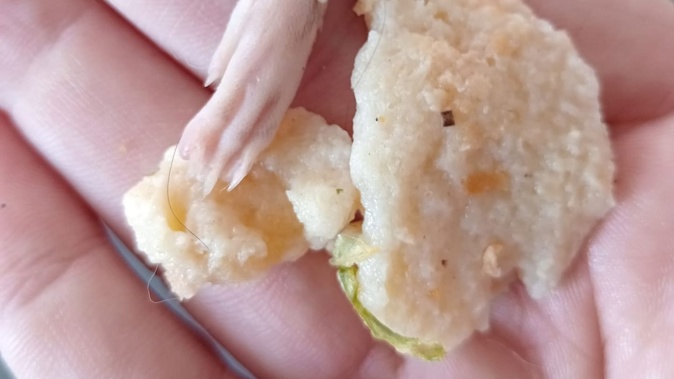 Forensic analysis by New Zealand Food Safety found the foot was raw and could not have come from the pre-cooked garlic bread. Photo / supplied