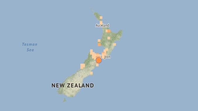 A 4.5 magnitude earthquake has struck near Seddon at a depth of 16km.
