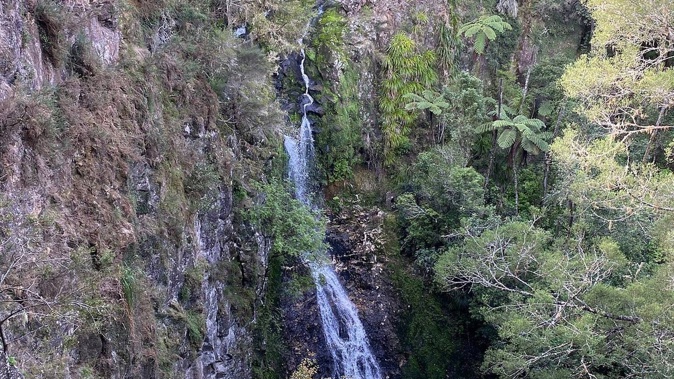 The man threw a puppy over the Paranui Falls on to rocks below.