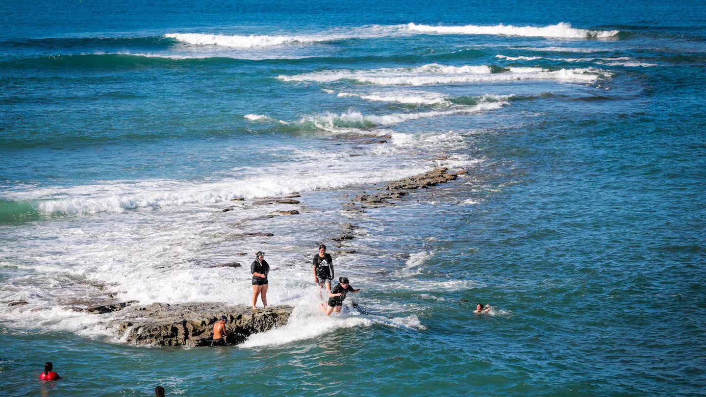 Diving tragedy: Man dies in evening incident off Mahia Peninsula