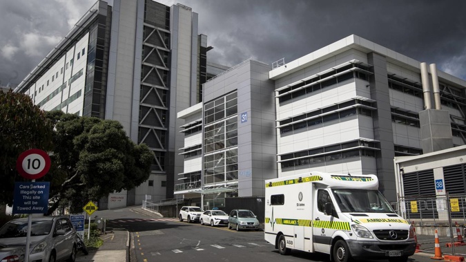 NZ's first rabies death recorded, overseas traveller dies in Auckland