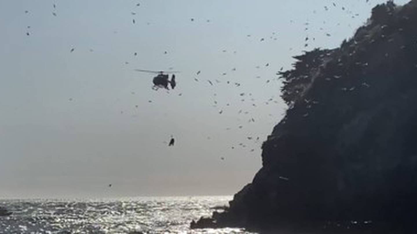 Surfer plucked from rocks, winched to safety at Sumner Beach