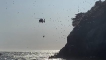 Surfer plucked from rocks, winched to safety at Sumner Beach