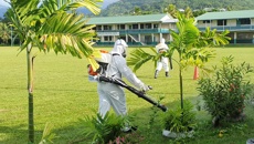Samoa dengue fever outbreak: Fumigation efforts ramp up, travellers advised to get medical insurance